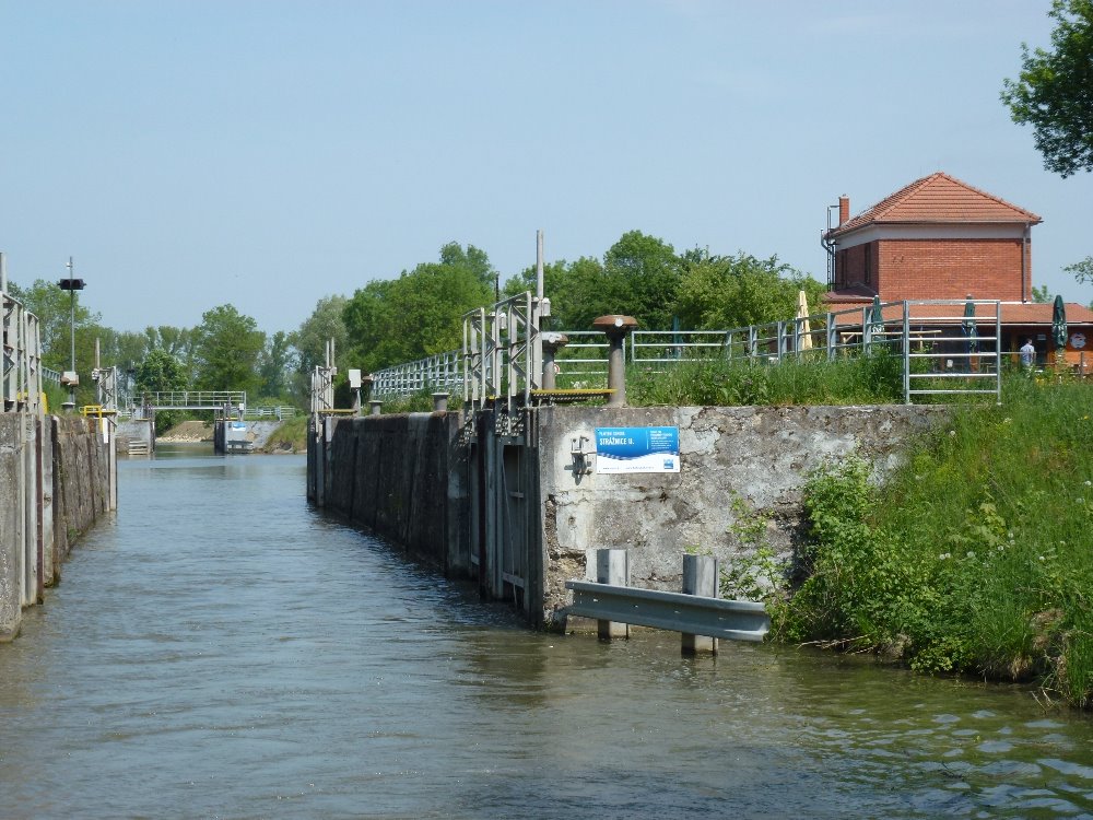Hodinová vyhlídková plavba ze Strážnice směr Vnorovy